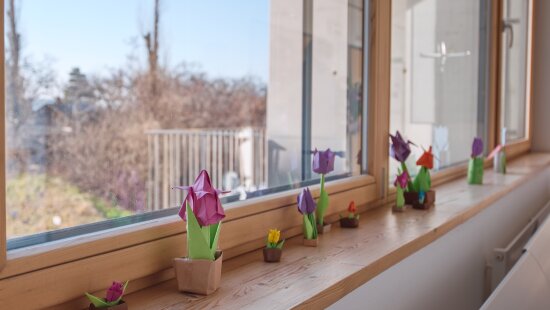 06_03_2025_tulipanovy_den (14)